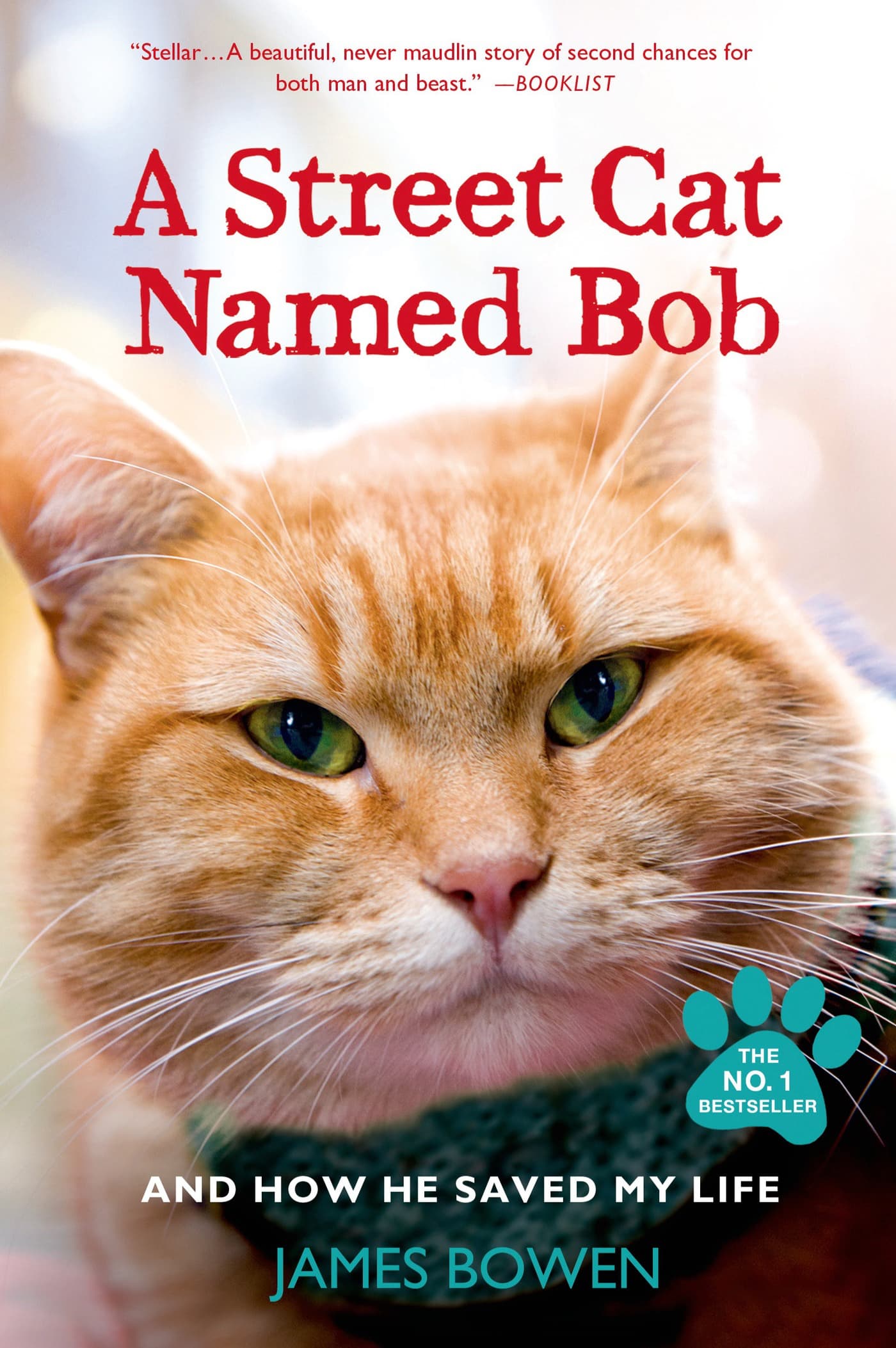 Cover of A Street Cat Named Bob