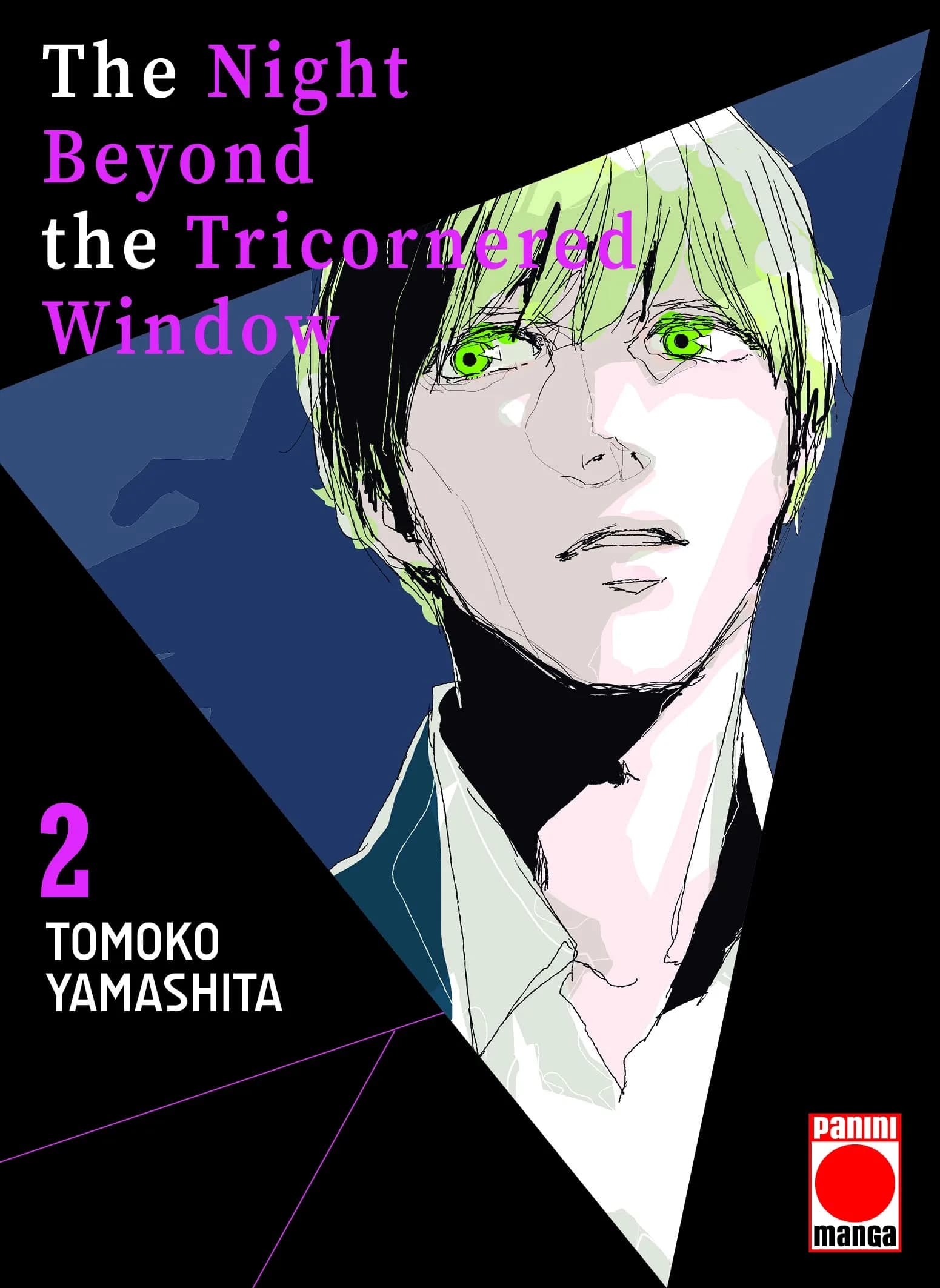 Cover of The Night Beyond the Tricornered Window