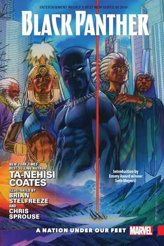 Cover of The Black Panther: A Nation Under Our Feet, Book One