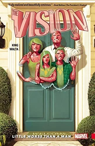 Cover of The Vision, Vol. 1: Little Worse Than a Man
