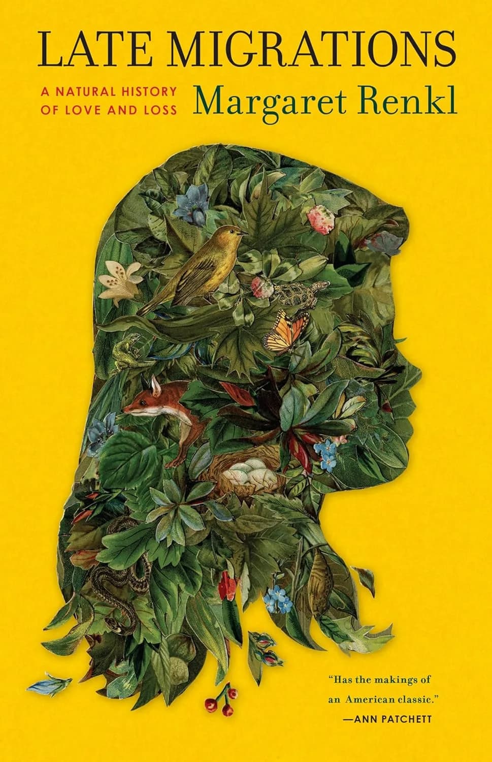 Cover of Late Migrations
